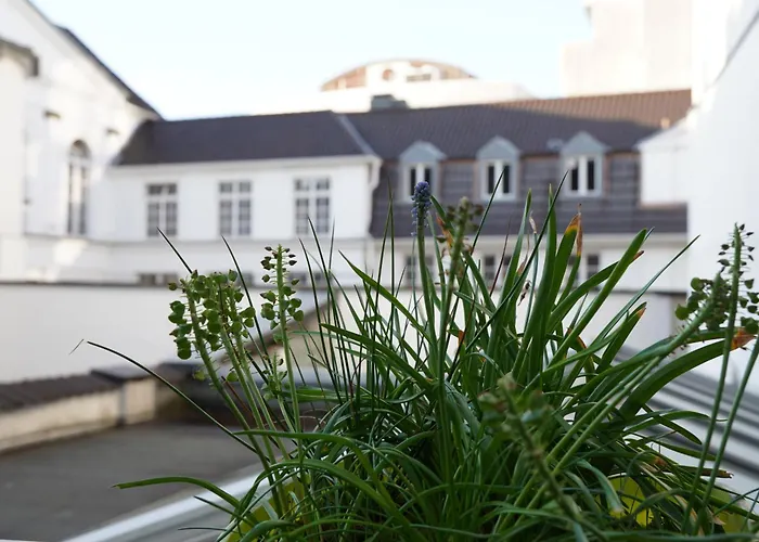 Bright, Spacious Apartment With A Lovely Terrace In The Heart Of Aachen