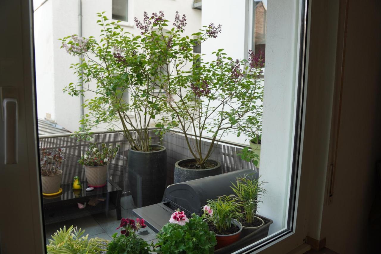 Bright, Spacious With A Lovely Terrace In The Heart Of Aachen